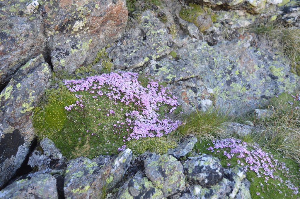 Hotel Jennys Schlössl Serfaus Exteriör bild