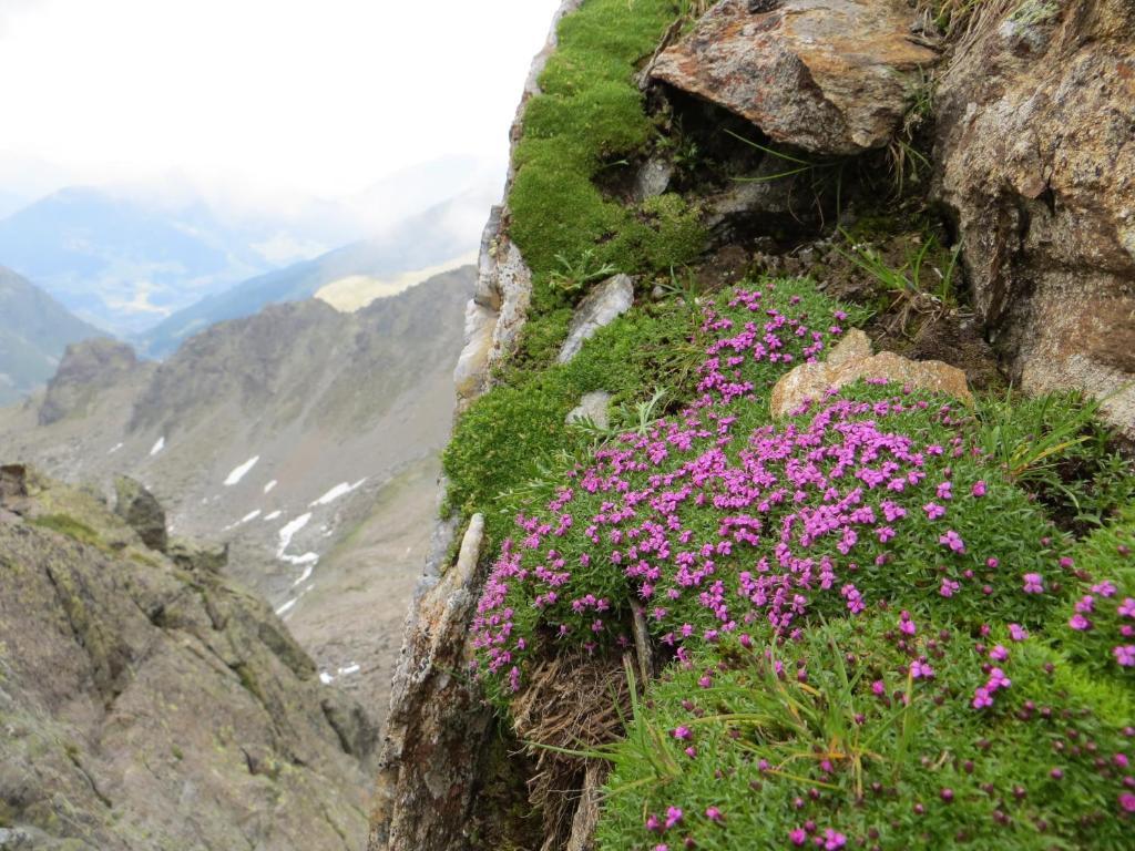 Hotel Jennys Schlössl Serfaus Exteriör bild